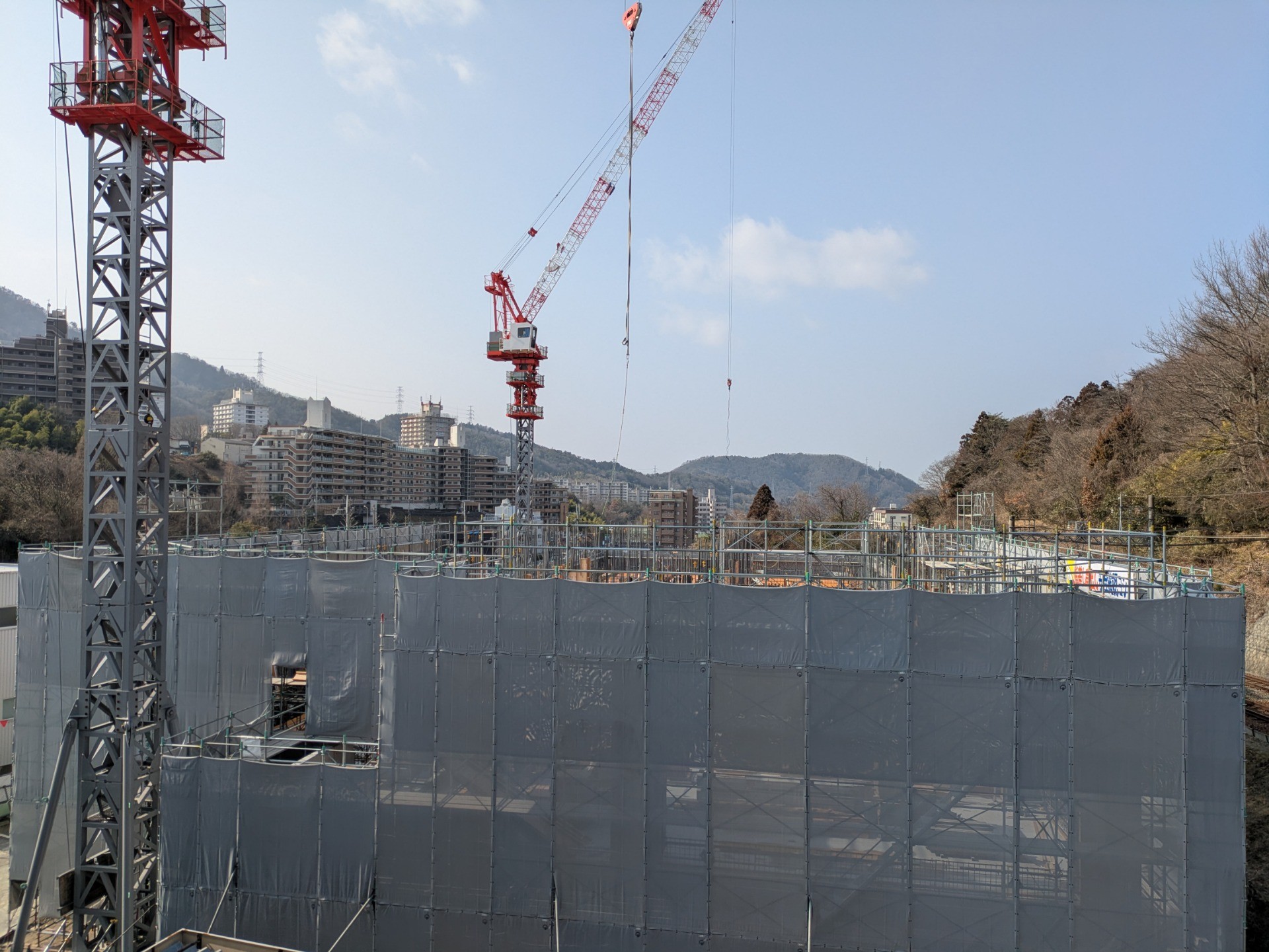 ついに、見上げる高さに到達！